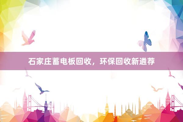 石家庄蓄电板回收,环保回收新遴荐